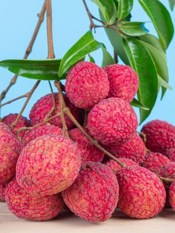 LICHI - THESE 4 PEOPLE SHOULD NOT EAT LICHEE