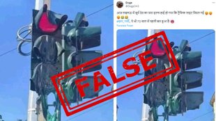 fact check