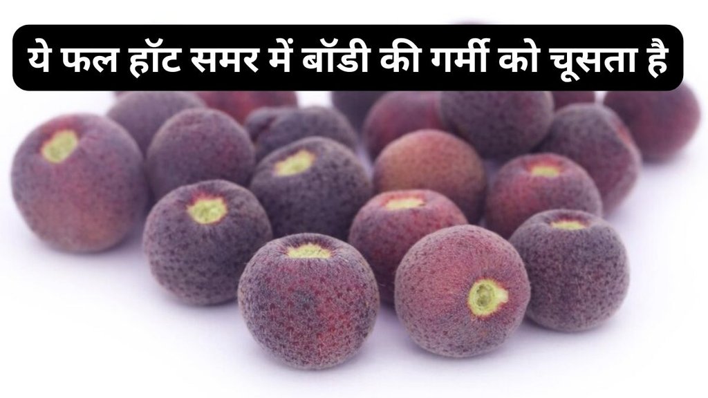 natural acids, phytochemicals, traditional beliefs, phalsa fruit vs phalsa juice, phalsa sherbet, diabetes management, low glycemic index