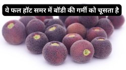 गर्मी में बॉडी को कूल रखेगा ये काला फल, डाइजेशन भी होगा बूस्ट, बॉडी भी रहेगी हाइड्रेट