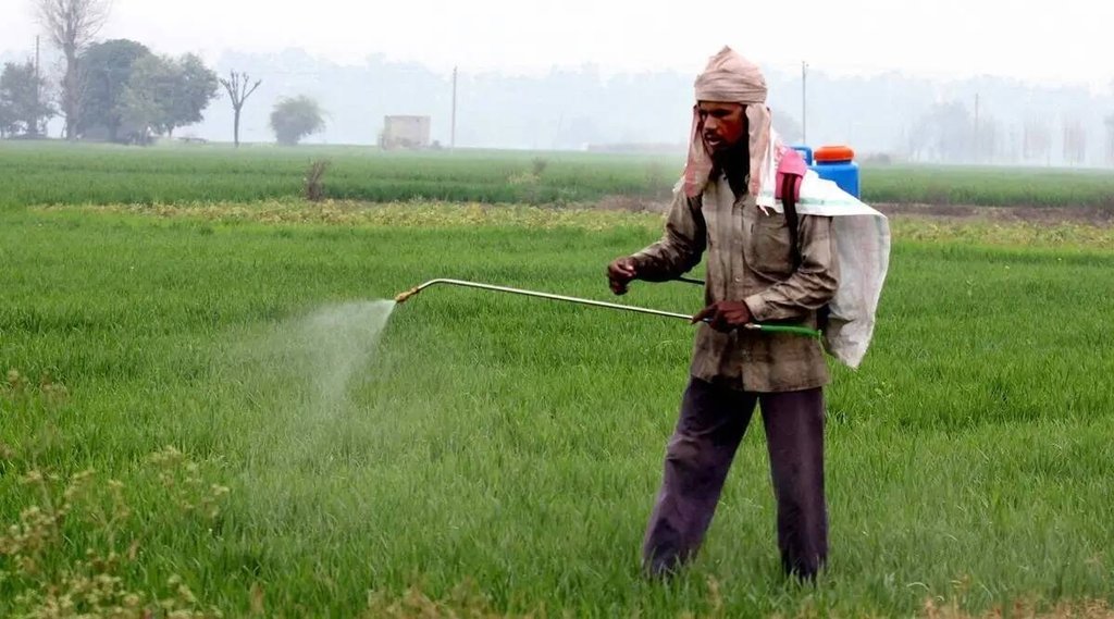 farmer | spray | pesticide