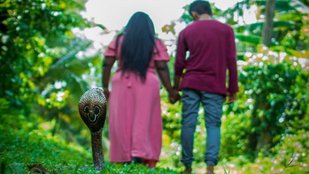 pre-wedding photoshoot with snake goes viral