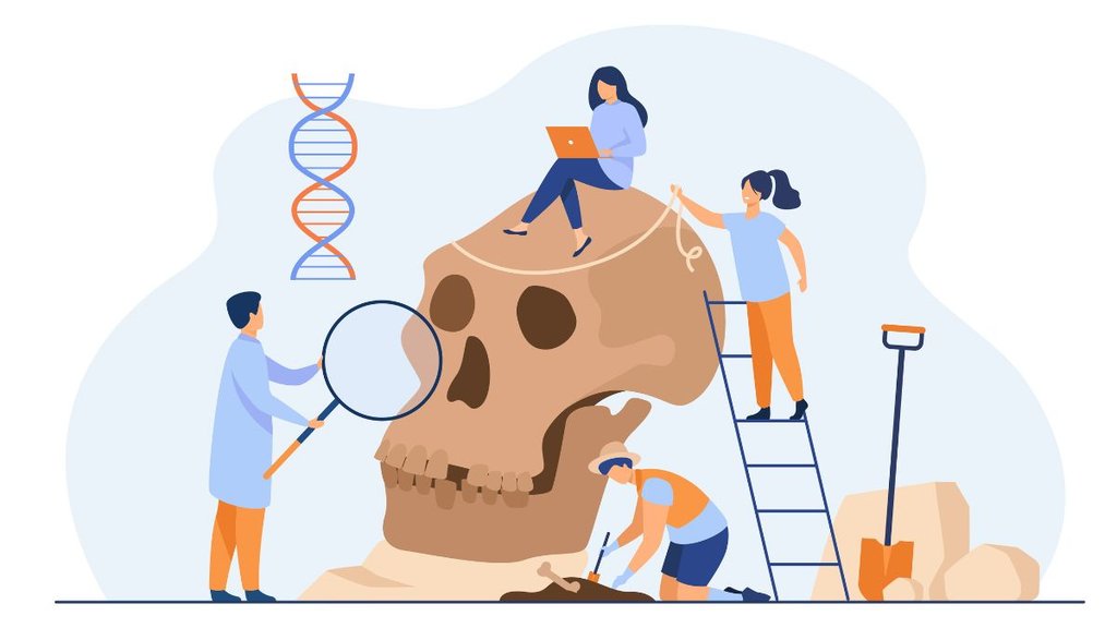 Forensic Anthropologists Forensic Anthropologists