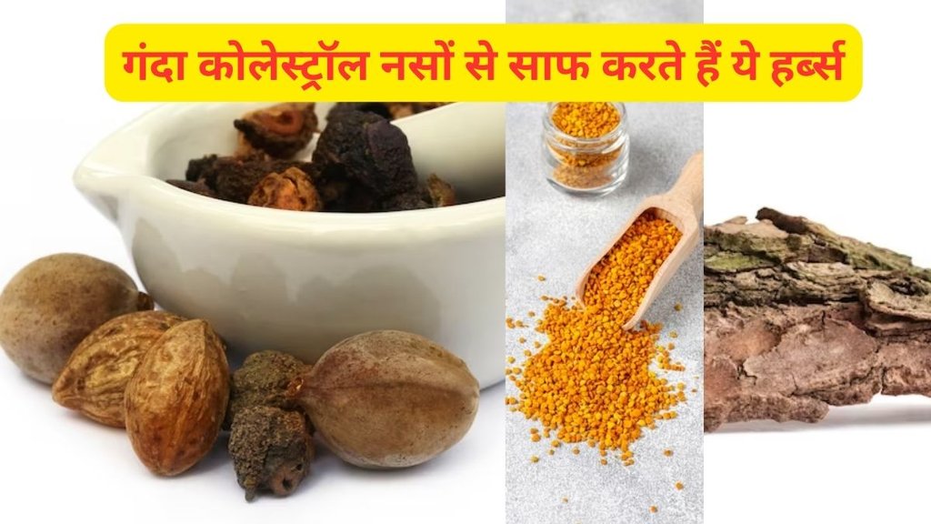 herbs for cholestrol control, what foods are high in cholesterol, what causes high cholesterol, what can i eat to lower my cholesterol fast, what are the worst foods for high cholesterol, tips to reduce cholesterol, herbs for bad cholesterol, plant based diet for cholesterol, how to reduce ldl cholesterol, how to lower cholesterol, foods to eat to lower cholesterol,