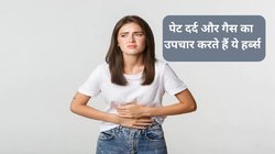 गैस और एसिडिटी का काल हैं ये 4 सस्ते हर्ब्स, हार्वर्ड मेडिकल ने बताए इसके फायदे, जानिए सेवन का तरीका