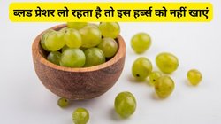 इन 4 बीमारियों में बॉडी पर ज़हर की तरह असर करता है आंवला, जानिए इस असरदार हर्ब्स के साइड इफेक्ट भी