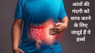 instant bloating relief, herbs To Clean intestines, giloy Health Benefits, gokhru Health benefits,