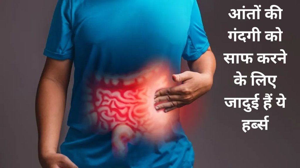 instant bloating relief, herbs To Clean intestines, giloy Health Benefits, gokhru Health benefits,