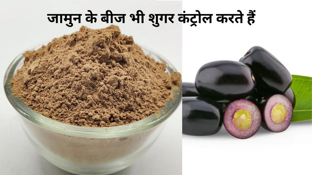 jamun seed powder benefits,what is jamun seed powder,jamun seeds,jamun seeds benefits,Jamun Seeds For Blood Sugar,