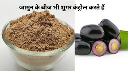 कई बीमारियों का रामबाण इलाज है जामुन के बीज का पाउडर, जानिए किन 5 डिजीज का करता है असरदार इलाज