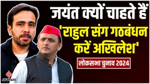 Lok Sabha Election 2024, Rahul gandhi
