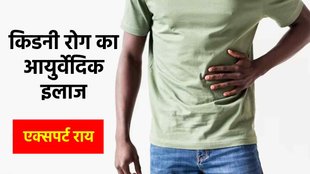 Ayurvedic Treatment For Kidney, Expert Tips for Kidney Disease, Ayurvedic approach to Healthy Kidney,