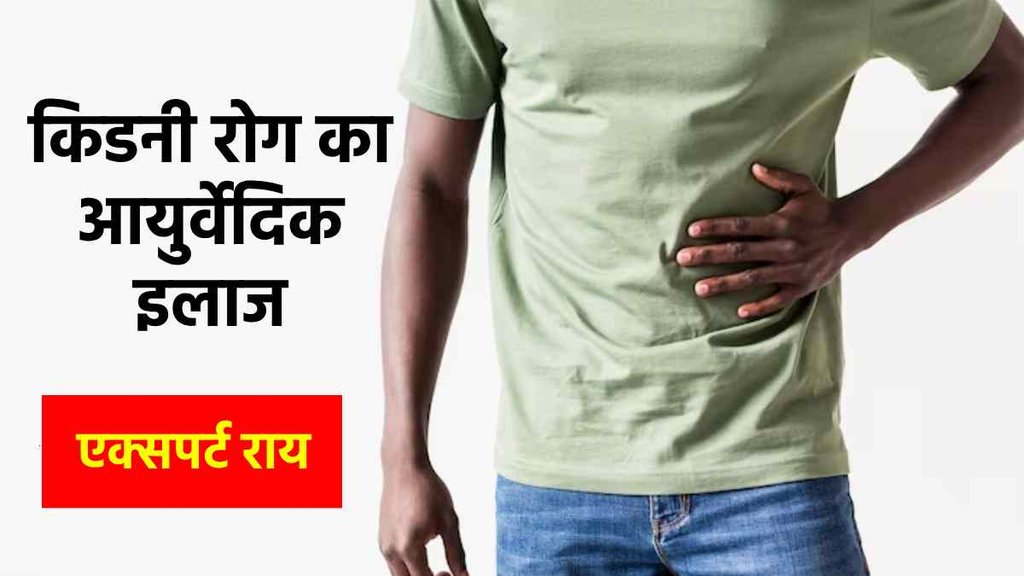 Ayurvedic Treatment For Kidney, Expert Tips for Kidney Disease, Ayurvedic approach to Healthy Kidney,