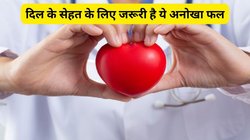दिल को सेहतमंद रखता है चीकू की तरह दिखने वाला ये अनोखा फ्रूट, कई बीमारियों पर करता है सीधा वार
