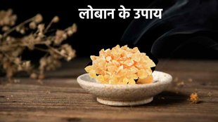 Loban Ke upay