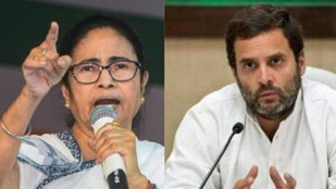 mamata rahul