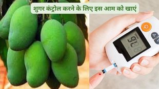 blood sugar control diet,fruits for sugar control,mango, mango blood sugar, mango breakfast, blood sugar spike, mango carbohydrate
