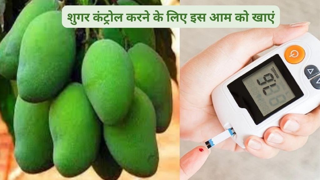 blood sugar control diet,fruits for sugar control,mango, mango blood sugar, mango breakfast, blood sugar spike, mango carbohydrate