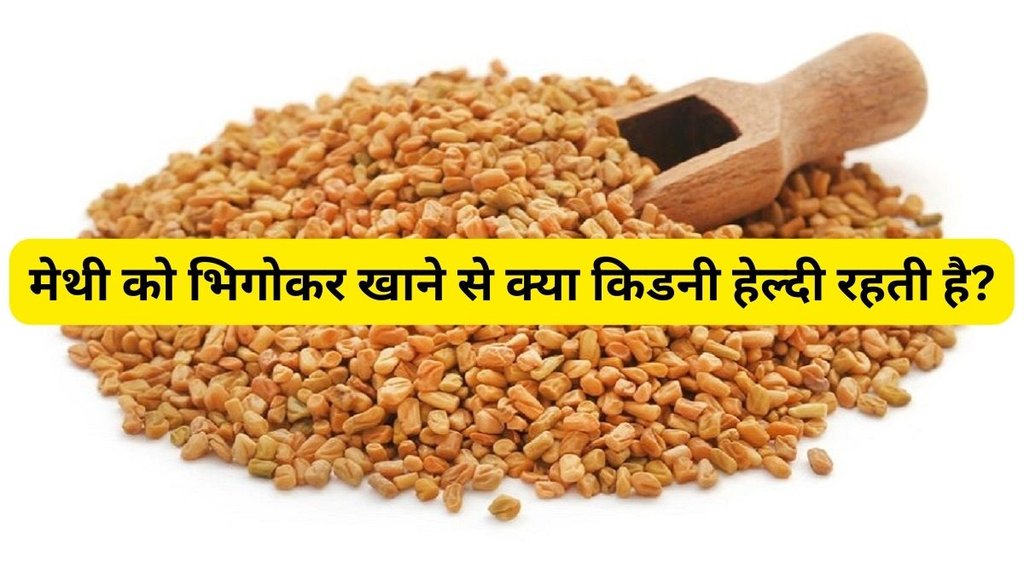 Fenugreek Seeds For Weight Loss,Fenugreek Seeds Water,Fenugreek Seeds Water Benefits,Fenugreek Seeds water benefits hindi