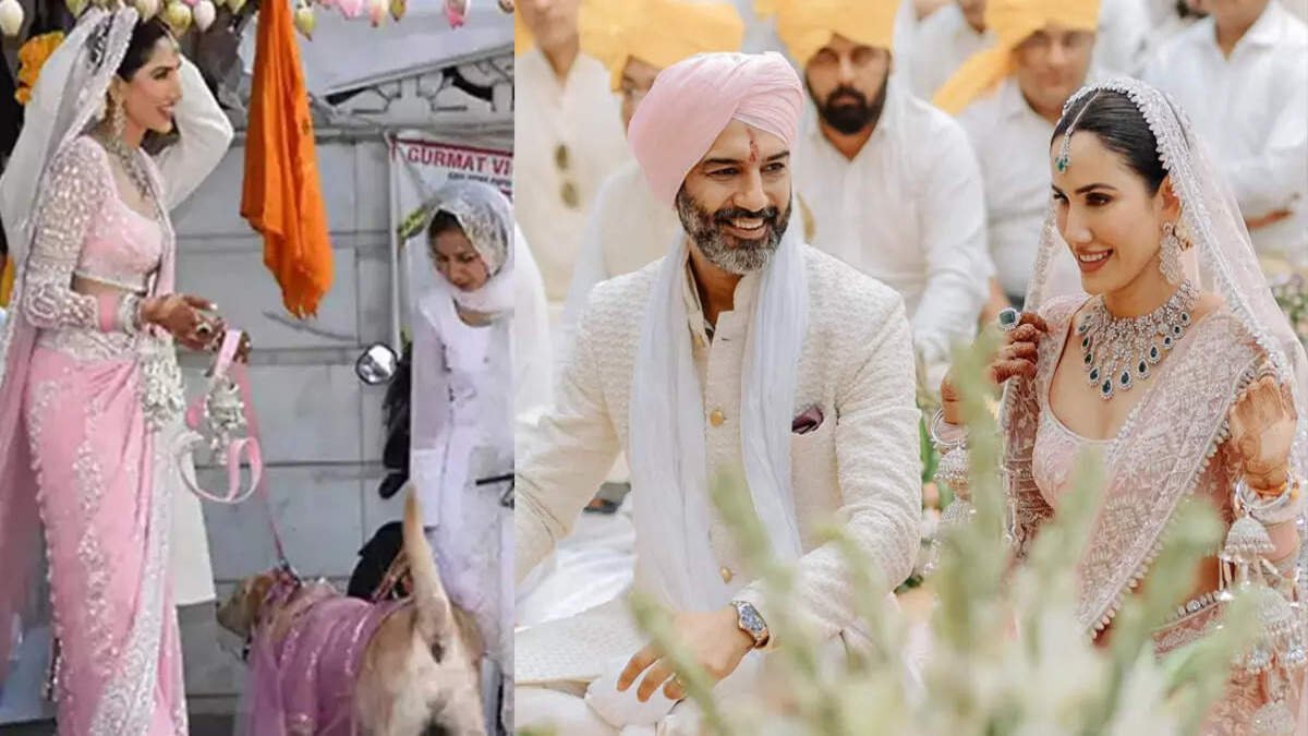 Sonnalli seygall, bollywood