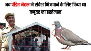 Pigeon Service, Career Pigeon Service, Odisha Police