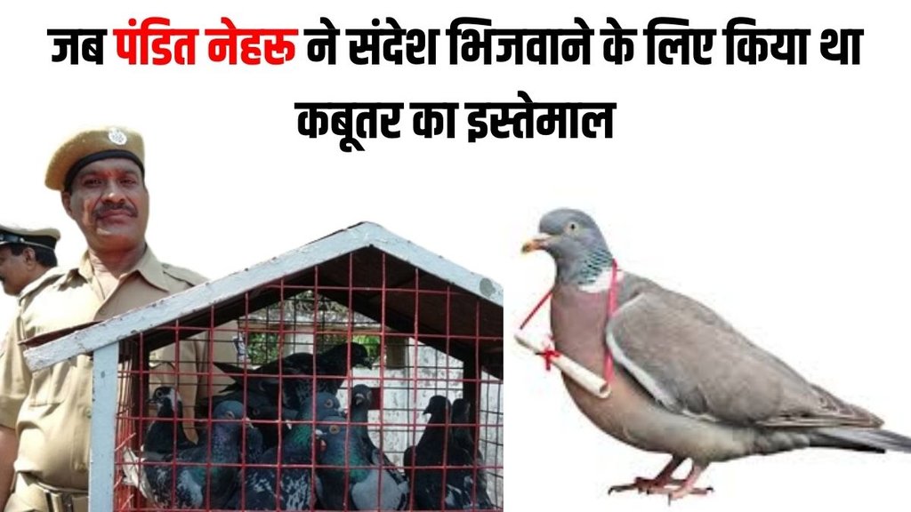 Pigeon Service, Career Pigeon Service, Odisha Police