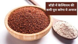 डेयरी प्रोडक्ट का बाप है ये अनाज, खून के कतरे-कतरे में भर देगा कैल्शियम, इससे लैक्टोज इंटॉलरेंस का नहीं रहेगा डर