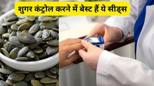 Nutritional Value of Pumpkin Seeds,pumpkin seed nutrition value for sugar patients,Is pumpkin seeds good for sugar patients