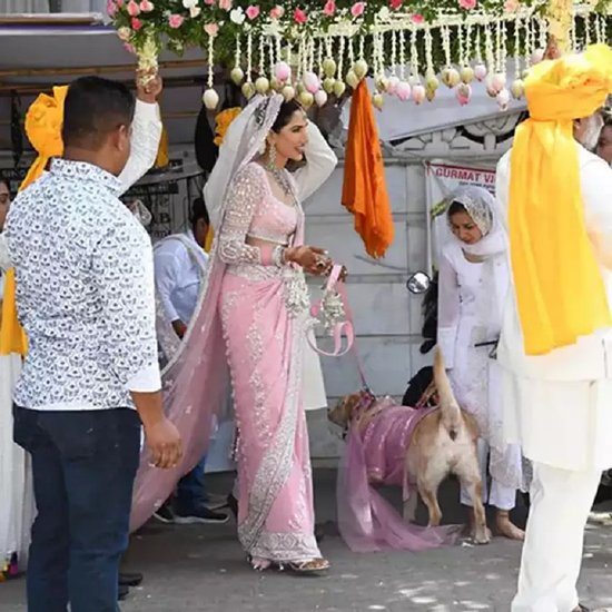 sonnalli seygall gets married to ashesh sajnani