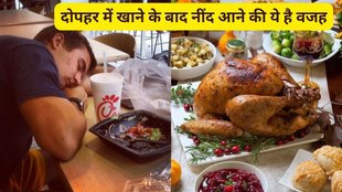 why feel sleepy after eating, feeling sleepy after eating, sleeping after meal is wrong or right,