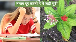 How to relieve stress, what to do if you can't sleep due to stress, how to get a good night's sleep,