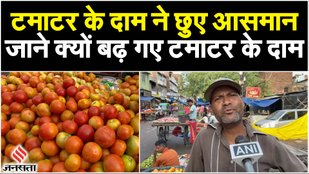 tomato price hike