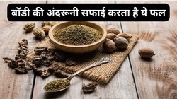 3 जादुई फलों को सही मात्रा में मिलाकर खाएं पूरे सिस्टम की होगी सफाई, बॉडी को शुद्ध करने का बेहतरीन तरीका है ये