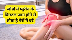 Uric Acid: पूरी गर्मी यूरिक एसिड को कंट्रोल रखना चाहते हैं तो 3 टाइम के खाने में इन 5 सब्जियों का भरपूर करें सेवन