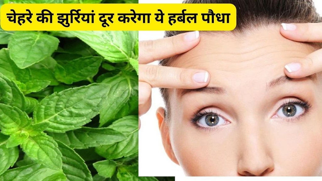 How To Stop Premature Aging,Skin care tips,Anti Aging Steps,Signs Of Aging,how to prevent aging,premature aging of skin,What causes premature Ageing