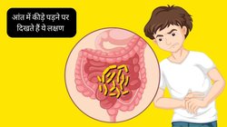 Gut Health: ये लक्षण दिखने पर तुरंत समझ जाएं बड़ी आंत में पड़ने लगे हैं कीड़े, धीरे-धीरे चूस लेंगे बॉडी का सारा खून!
