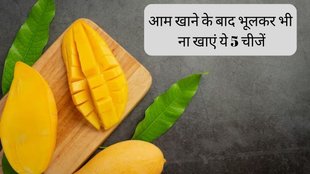 Mango Tips । food items you should never consume after eating mango । Avoid Eating These Foods Right After Consuming Mangoes