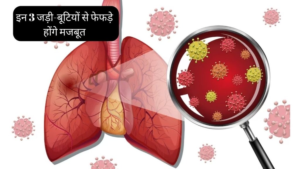 Lungs Clean Remedy । cough Treatment । chest cleaner home remedy । Lungs Cleaning Tips । Increase Lung Capacity
