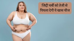 Weight Loss Diet: गुब्बारे जैसे पेट को भी सपाट बना देगी ये खास चीज, बेहद जल्द हवा की तरह गायब हो जाएगी जिद्दी चर्बी