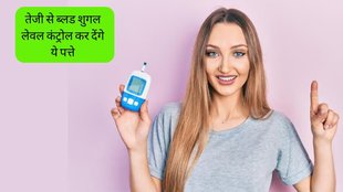 Diabetes Treatment in Ayurveda । Diabetes Treatment । Gymnema sylvestre For Diabetes । Gurmar For Diabetes