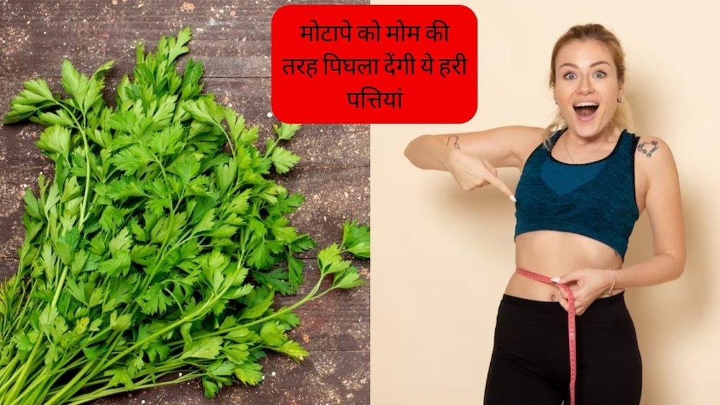 Weight Loss Tips । Weight Loss Food । Weight Loss Diet । Fat burn tips