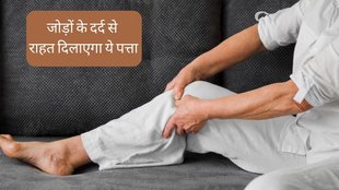 Uric Acid Treatment । High Uric Acid । Bay leaf For Uric Acid । Tej Patta For Uric Acid