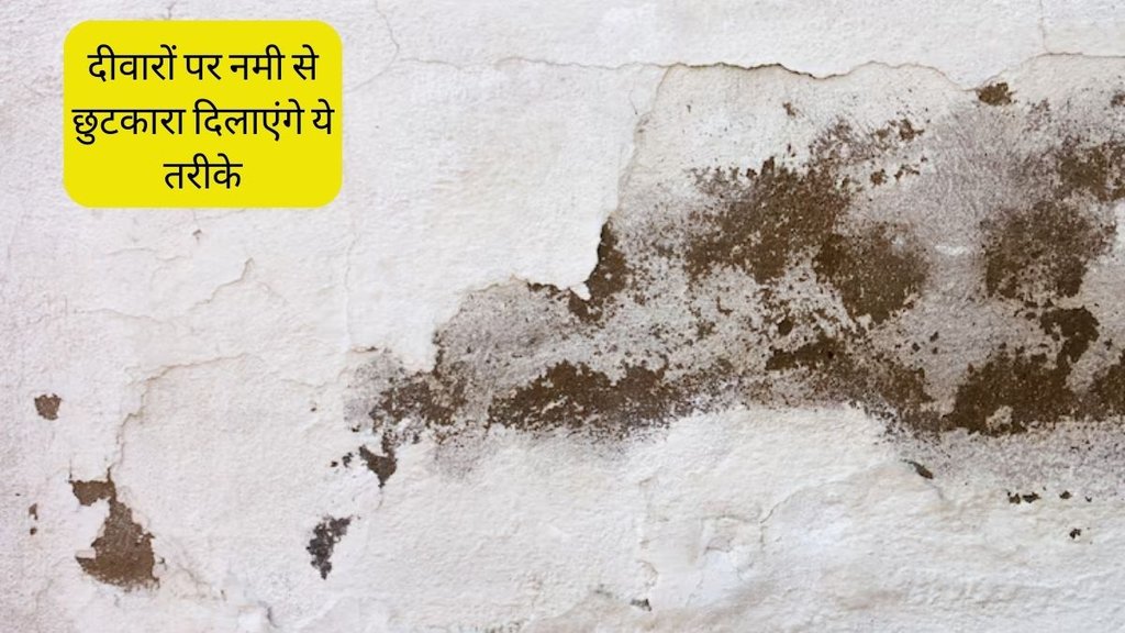 how to get rid of moisture । how to remove moisture from room naturally । how to reduce humidity in room naturally । how to lower humidity in house fast