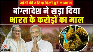 Narendra modi, export