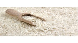 Basmati rice | Export