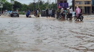 Punjab heavy rain | Chandigarh rain | Chandigarh schools to remain closed