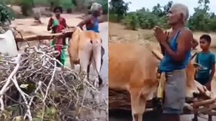 Chatra II Viral Video II Trending News