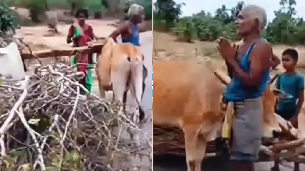 Chatra II Viral Video II Trending News
