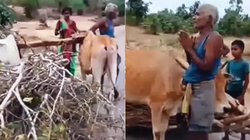 जंगल से लकड़ी ले जाने पर बुजुर्ग से उठक बैठक कराये जाने का वीडियो वायरल, लोग भड़के तो कार्रवाई का हुआ आदेश