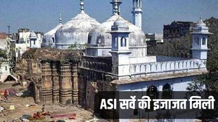 Gyanvapi Masjid, Gyanvapi, ASI Survey